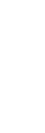 今日の素材でちょい呑みで